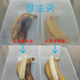 抗菌保鲜盒丨让食物保持新鲜的魔法盒子