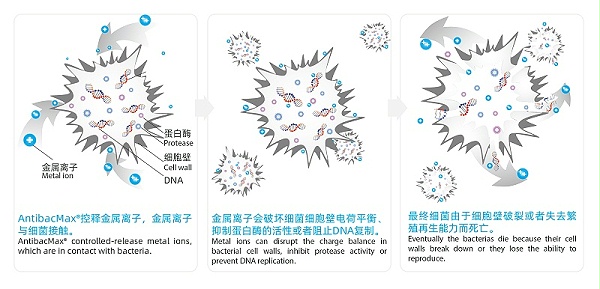 抗菌示意图-02